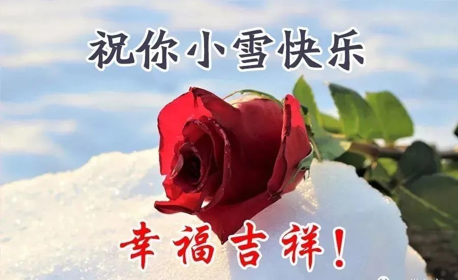 小雪节气快乐早安问候语,节气在变问候不变,真诚祝福依然温暖!