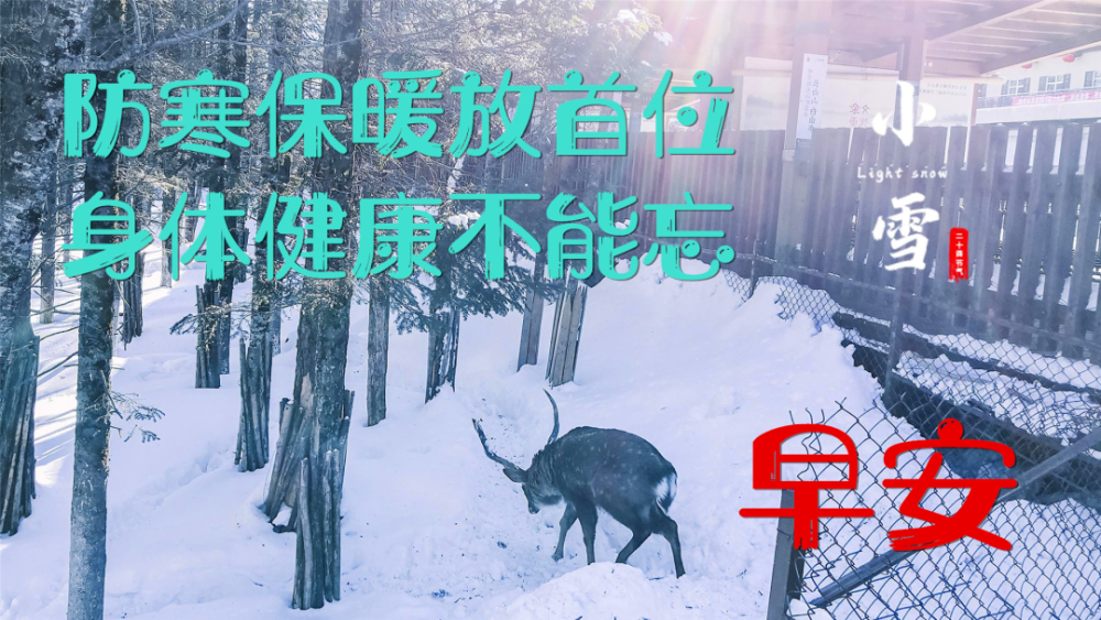 11月22日小雪最新漂亮早上好问候表情图片带字祝福语今日小雪祝您全家