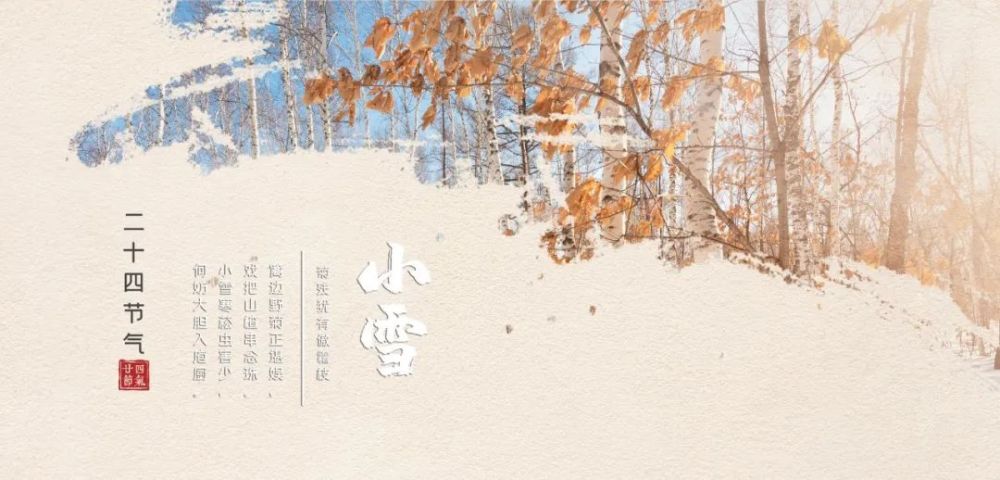 小雪诗词|小雪飘扬,一片飞来一片寒