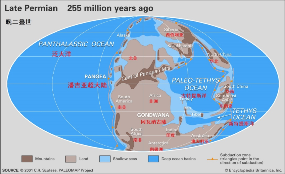 二叠纪—古生代最后的时光,地球变成炼狱_腾讯新闻