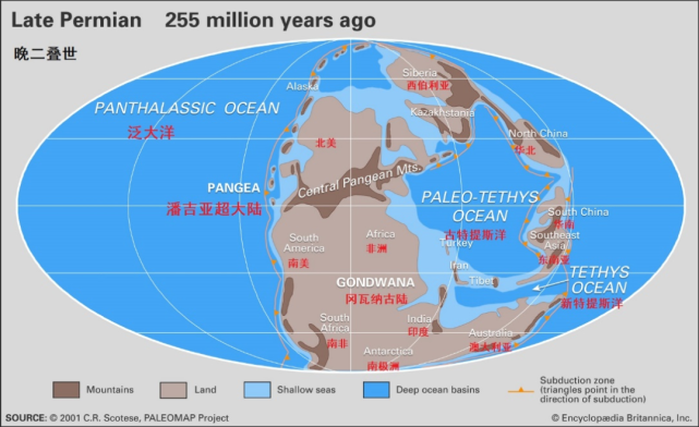 二叠纪——古生代最后的时光,地球变成炼狱