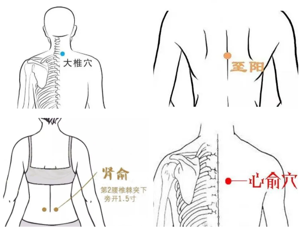 至阳穴 有助于缓解腰背疼痛,胸胁胀痛,心慌,胸闷等症状. 3.