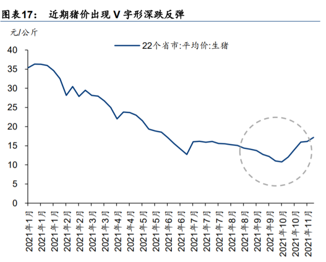 农林牧渔行业研究与投资策略:逆境反转,静待周期