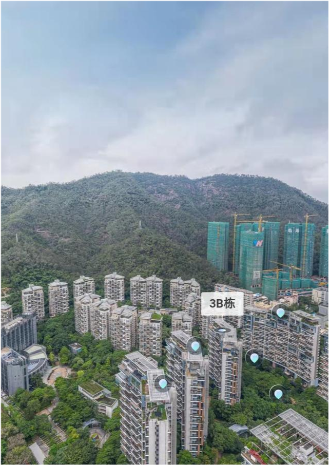 深圳的豪宅业主直接降1000万|业主|深圳|豪宅|卖房|兰溪谷