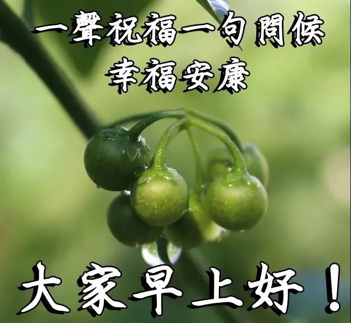 最美早上好图片带字带祝福语免打字聊天的清晨早安问候祝福语
