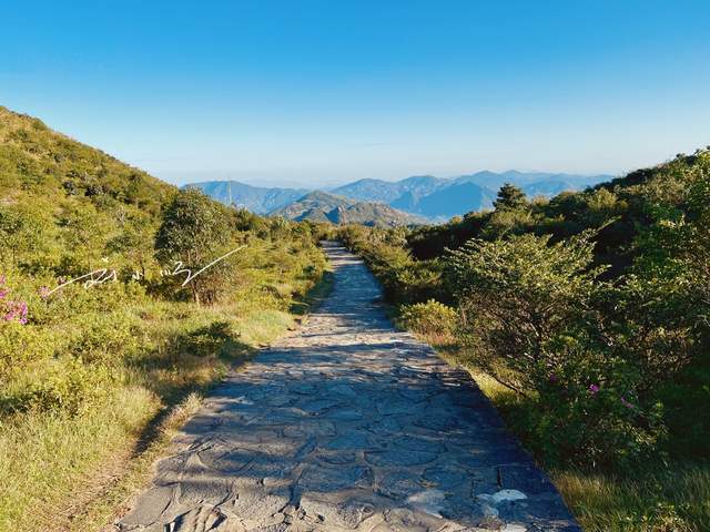 当我到广东省潮州市旅游的时候,就专门找时间来了一趟潮安区的"凤凰山