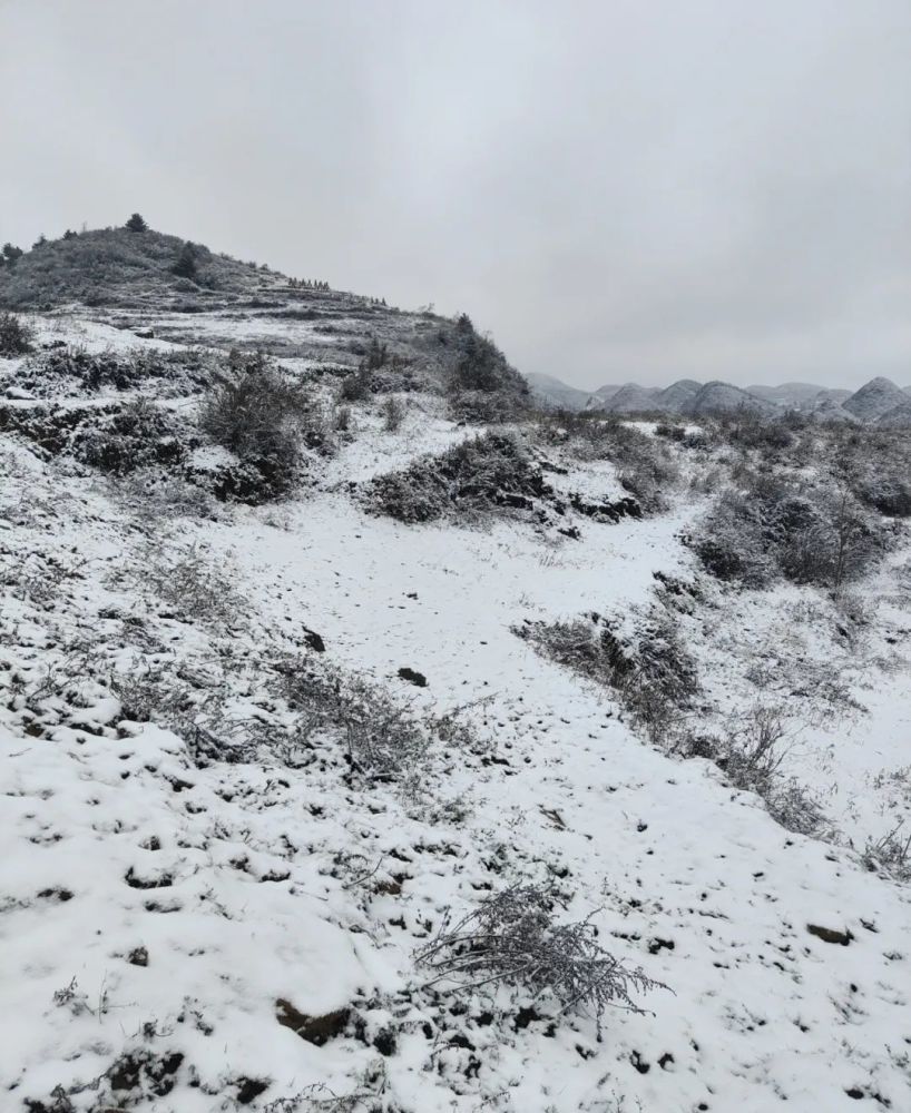 太冷啦今天贵州这些地方下雪了银装素裹美翻天