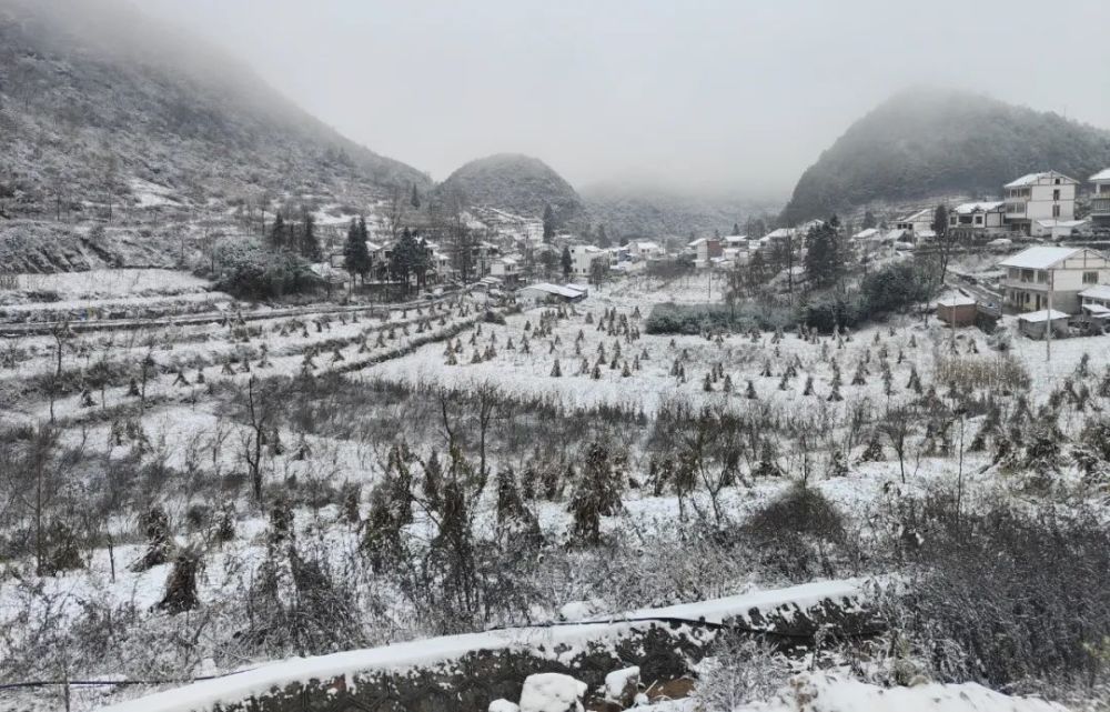 太冷啦今天贵州这些地方下雪了银装素裹美翻天