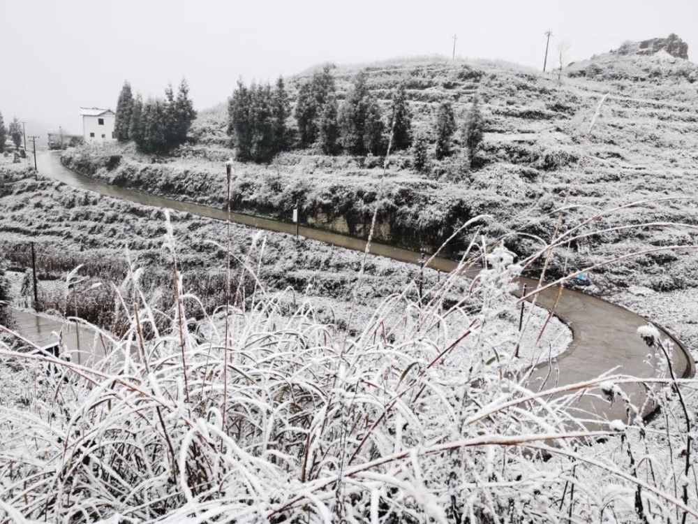 太冷啦今天贵州这些地方下雪了银装素裹美翻天