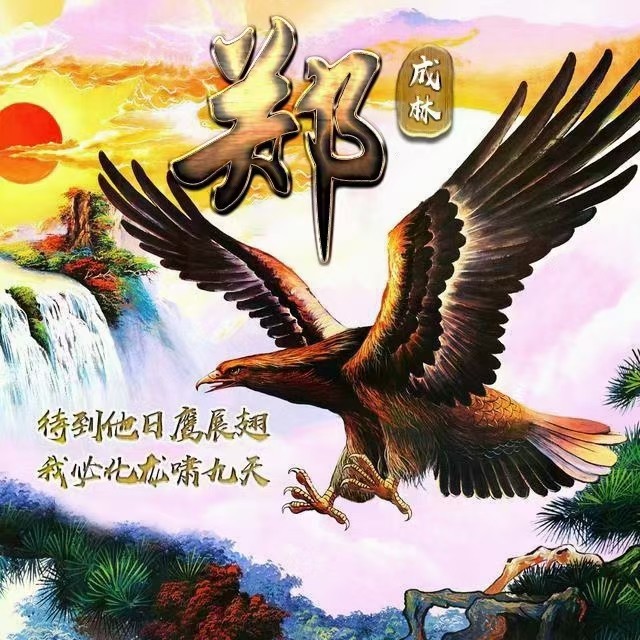 雄鹰展翅励志签名头像