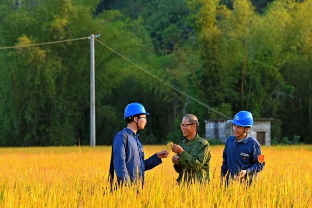 国网北京昌平供电公司运维人员在十三陵黄花峪村开展雪天特巡工作.