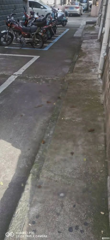 恶心至极!义乌某小区内竟有人随地大便