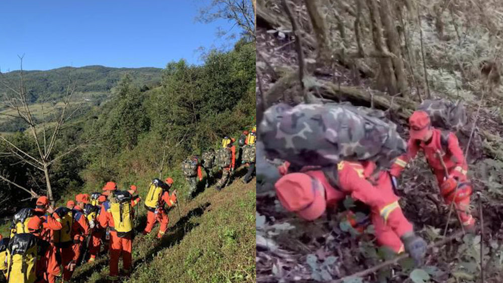 云南哀牢山4名调查员均遇难!野外科考多危险,会面临什么问题?