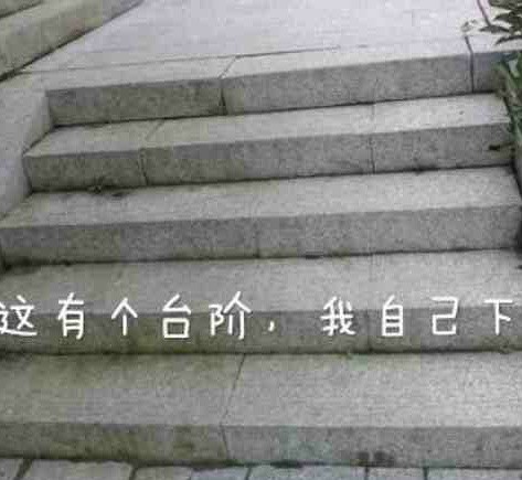 道歉求和表情包给你个台阶你下不下