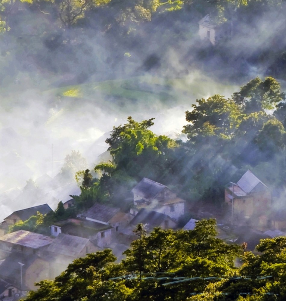 神秘的哀牢山,哀牢山位于云南省中部,全长约500公里,最高海拔3166米.