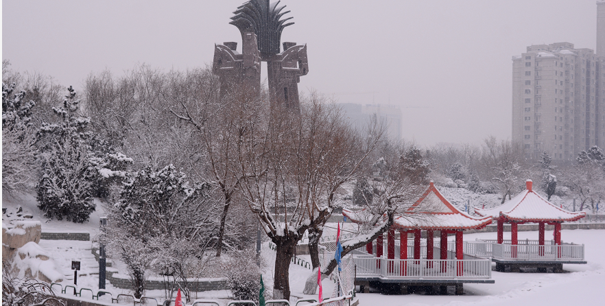 接下来就带大家欣赏通辽雪景小雪也很美天气很应景今天正值小雪节气与