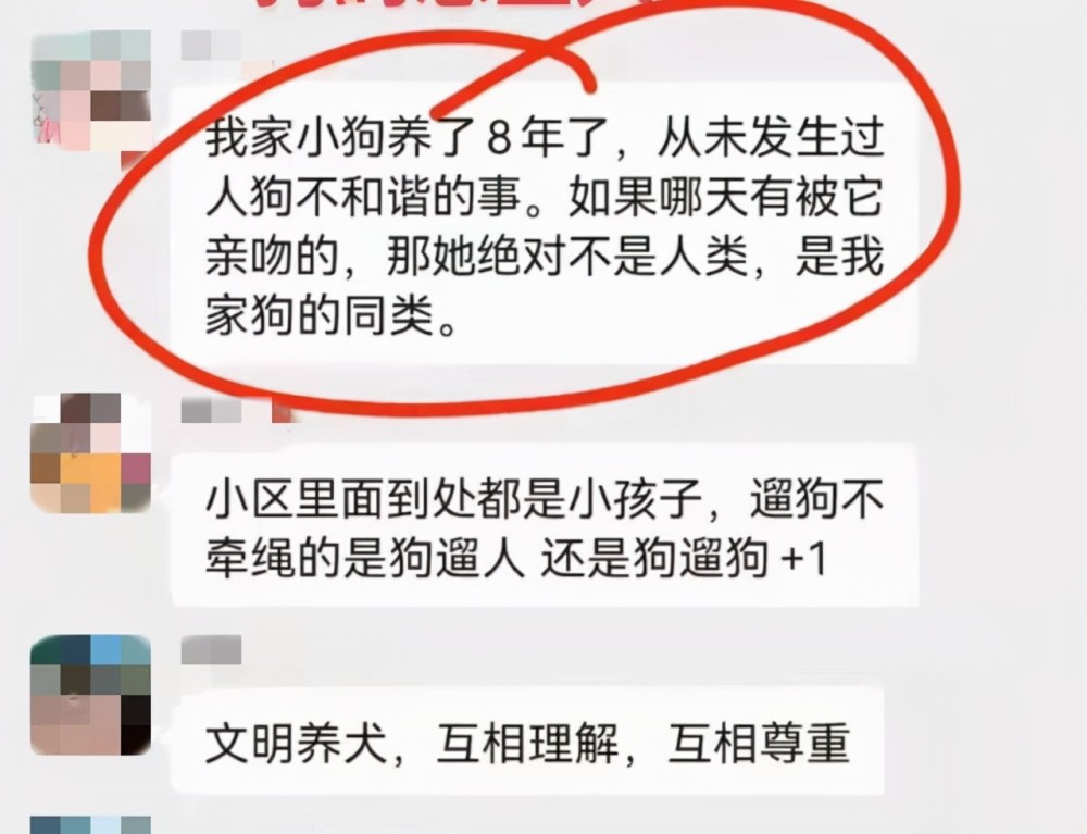 被老太说成狗 现在再翻看业主群里的聊天记录,那几个老太的态度越发