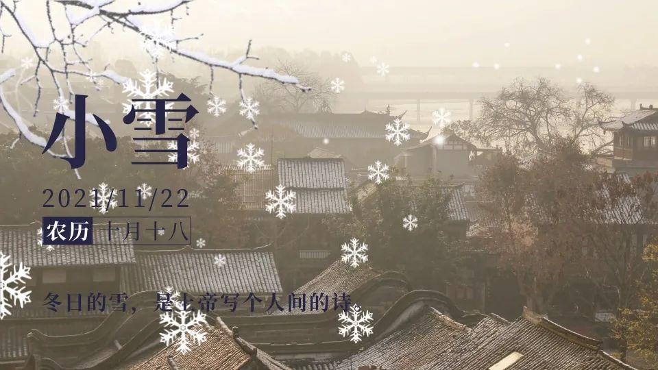 小雪:落红未寒,微雪飞来