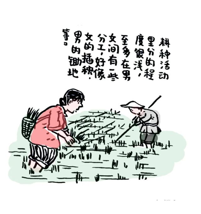 漫画解读《乡土中国》第一章:乡土本色