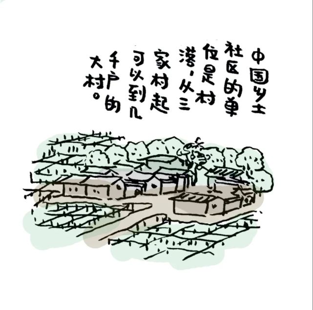 漫画解读《乡土中国》第一章:乡土本色