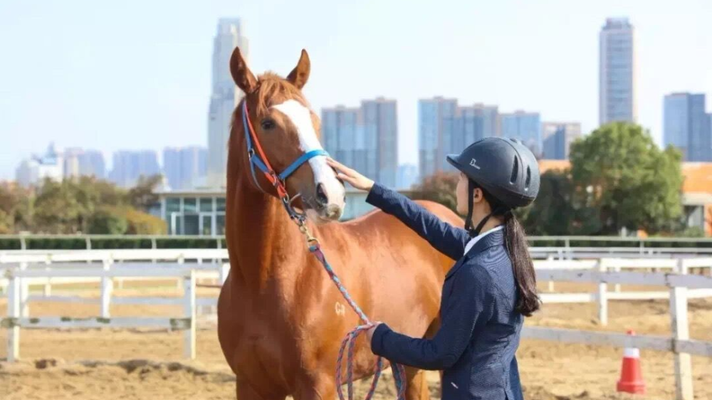 武汉商学院马术运动安全知识科普项目荣获国家体育总局立项