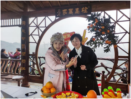 新宁:第七届脐橙文化旅游节"网红直播"活动开幕,电商直播再添助农增收