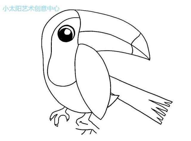 01 根据巨嘴鸟的图片素材,运用简洁的线条将鸟儿的外部轮廓绘制出来