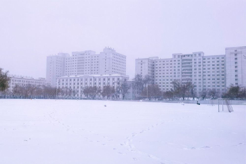 图说直击现场黑龙江省多地遭遇暴风雪