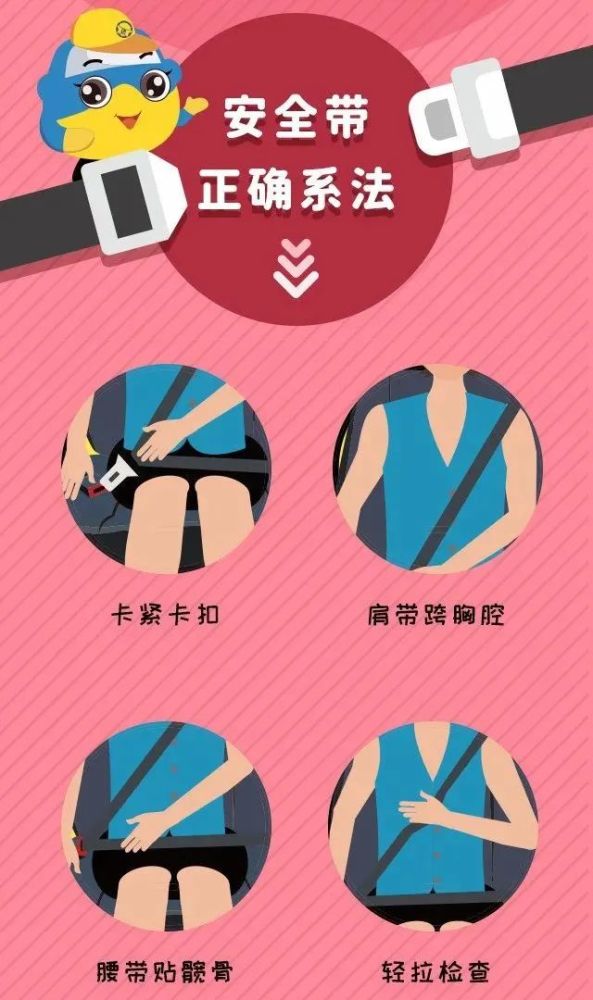 后排!未系安全带!
