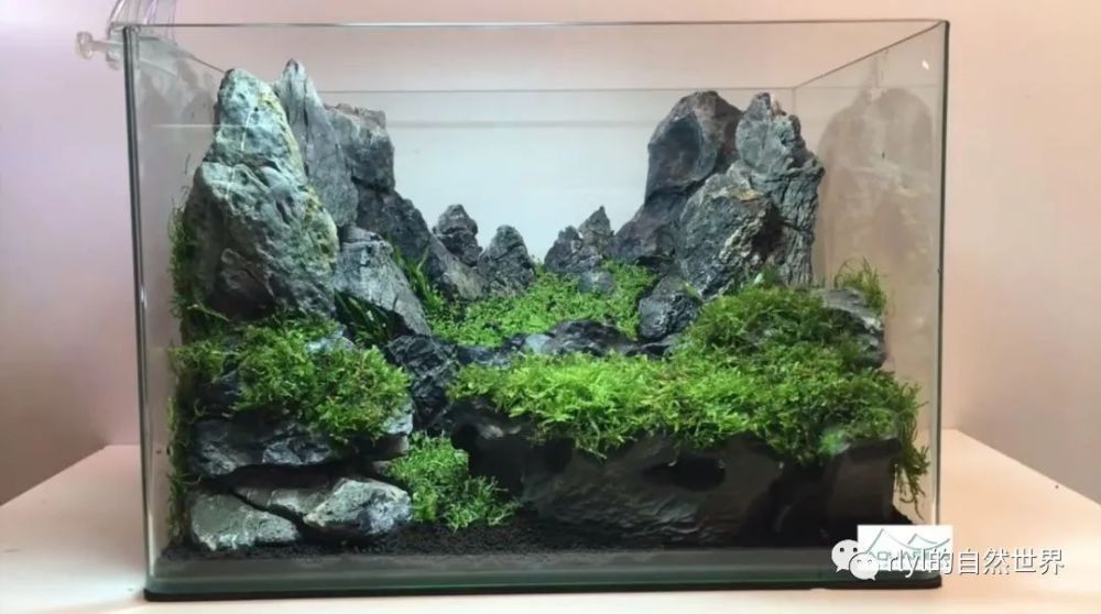 草缸造景2个精致桌面小缸造景操作全过程