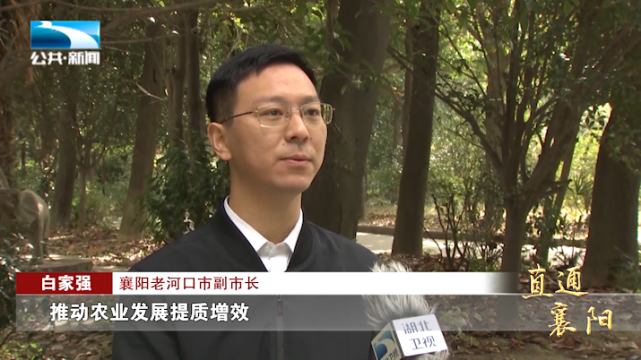 襄阳老河口市副市长 白家强:"我们将聚焦农业现代化目标,深入推进"