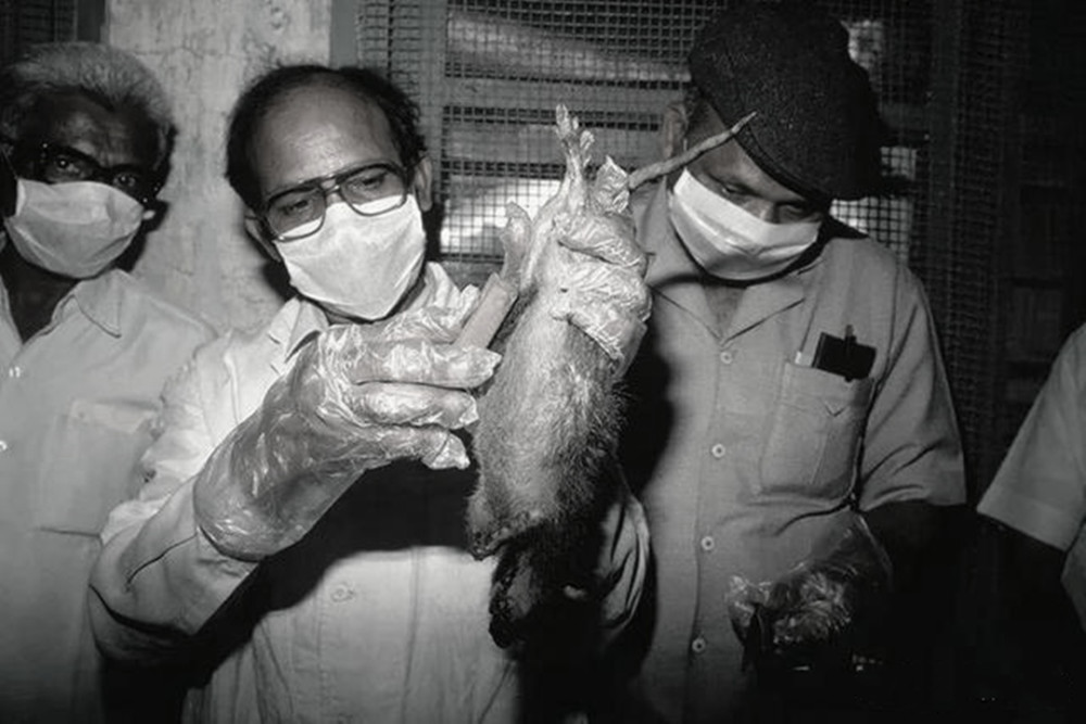 94年鼠疫肆虐印度4天50万人逃离追其原因还是环境卫生太差
