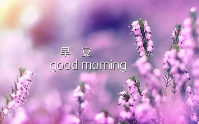 周二温馨的早安快乐动态表情图片,最暖心的冬天早上好问候祝福语