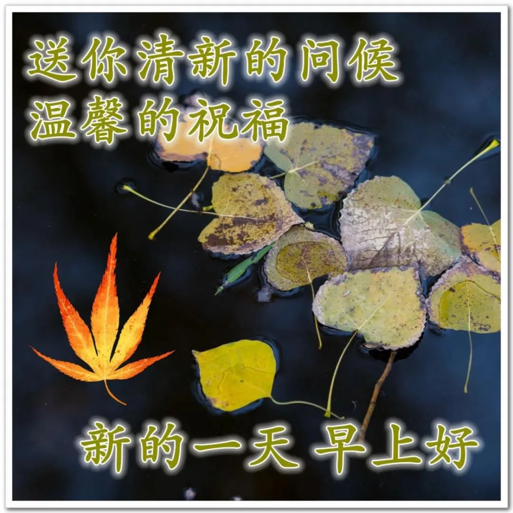 11月23日群发清晨早上好问候祝福动态表情图片早安问候语及暖心的话