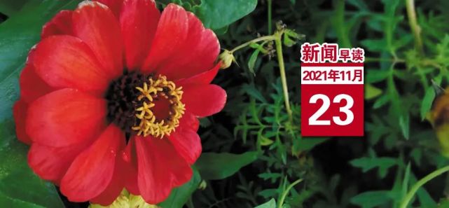 【衡水日报新闻早读】2021年11月23日