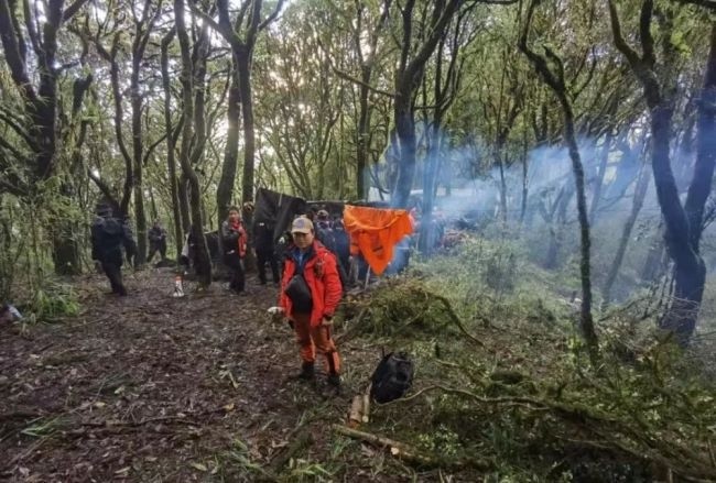 4名哀牢山失联人员均遇难 未开定位设备致搜救困难