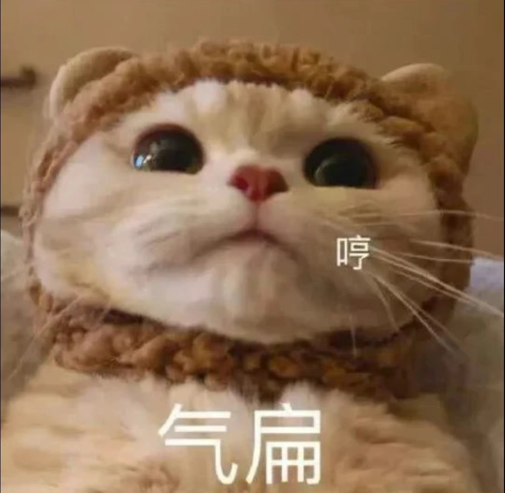 猫咪表情包|黏住