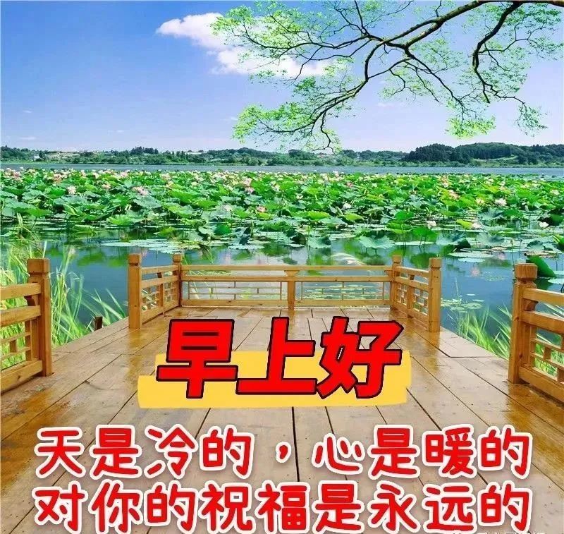 冬天祝福的说说 冬天暖暖的祝福语 清晨最美早上好图片大全,温馨暖心