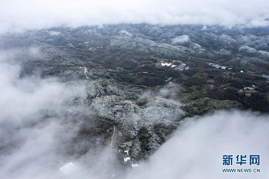 百里杜鹃迎来2021年入冬首场雪