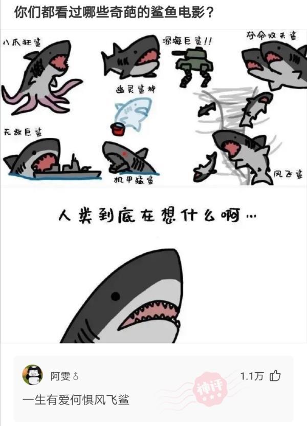 【沙雕问题7】:你们都看过哪些奇葩的鲨鱼电影?
