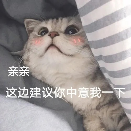 可爱猫咪表情包|肖邦也弹不出我的悲伤