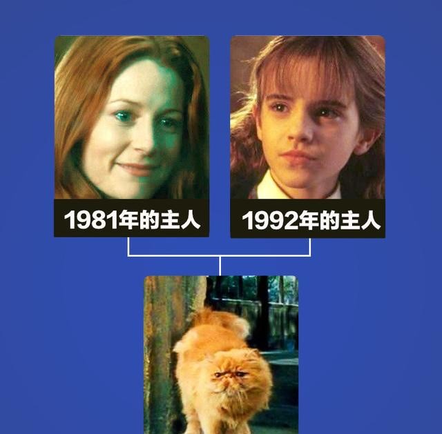 那么,你觉得赫敏的猫到底是不是当年波特家族的哪一只宠物猫呢