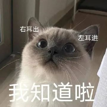 表情包摸着你的良心说话