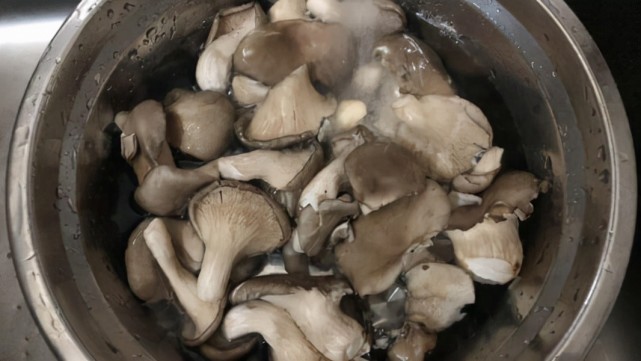 营养丰富的平菇不仅仅只能吃火锅哦!这么炒比肉都香.