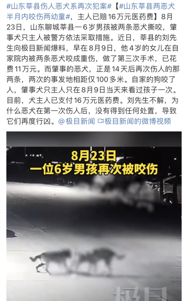 常言说,狗咬人不是新闻,人咬狗才