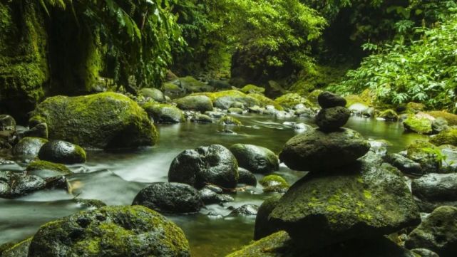 电脑桌面|静谧山间溪流唯美高清桌面壁纸