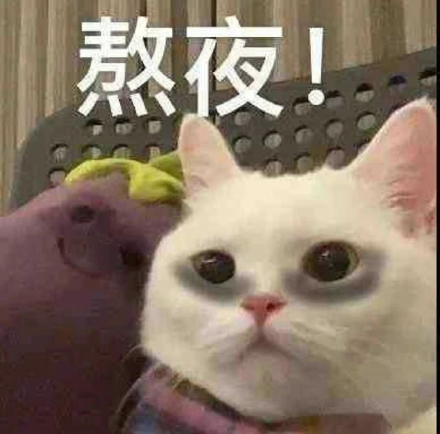 人家要掉小珍珠了人家又把小珍珠憋回去了