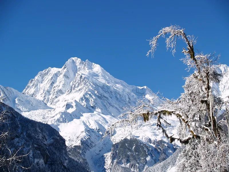 海螺沟这场雪来得正是时候!