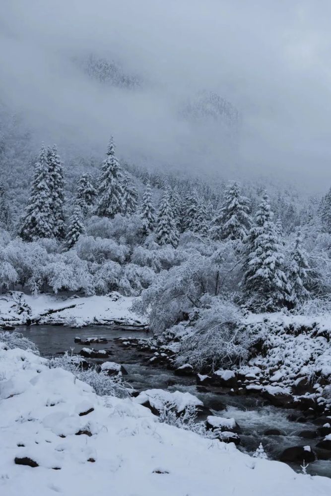 阿坝州雪景已备好 赶紧出发吧!