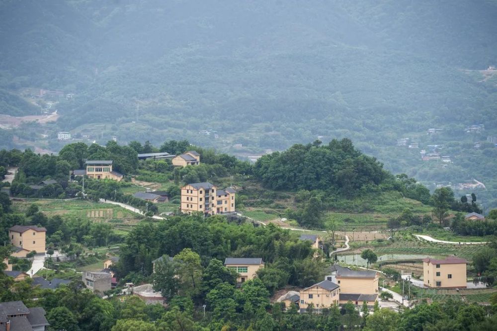 重庆市巴南区鱼洞街道干湾村